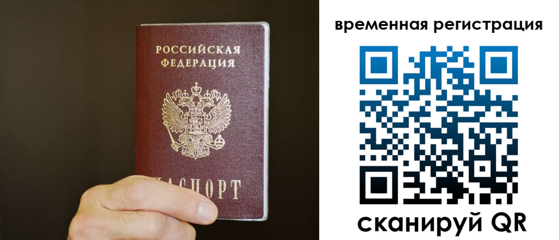 прописка гарантия в Красновишерске